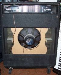 Ampeg G-410 back view