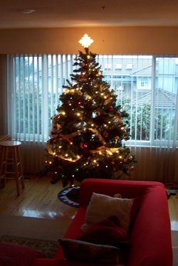 Derek's tree last year