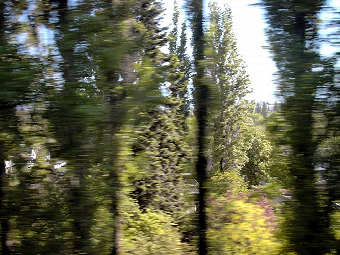 whizz blur