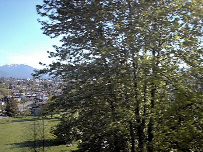houses