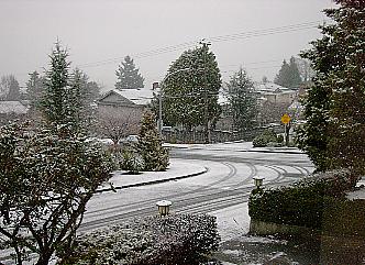 [Snow coming down on 24 Dec 2002 in Burnaby]