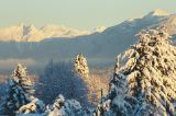 [Last winter in Burnaby]